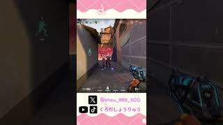 アセントBサイトの強ポジ #valorant #valorantclips #shorts