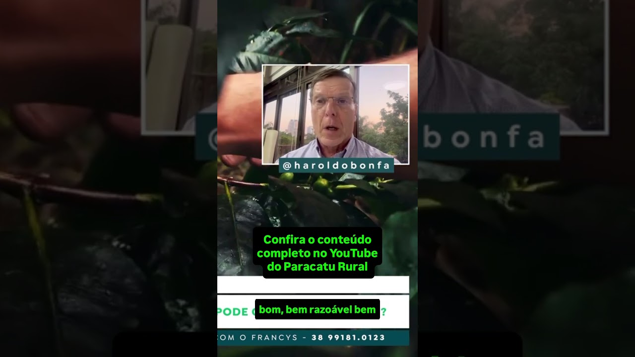 Café: O Que a Discrepância nos Dados da Conab Pode Causar nos Preços?