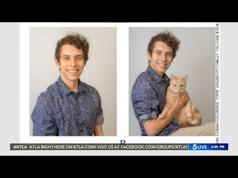 YouTube video about: When a man loves cats writer?