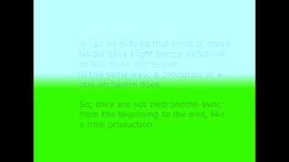 The First Noel - Orchestra Instrumental - Opera Karaoke for soprano voice