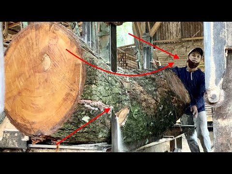 9feet brown mahogany wood log, for furniture
