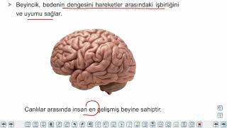 Eğitim Vadisi AYT Felsefe 2.Föy Psikolojinin Temel Süreçleri 1 Konu Anlatım Videoları