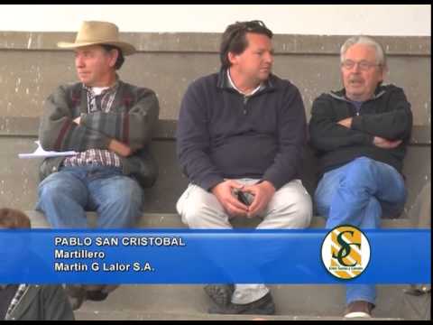 PABLO SAN CRISTOBAL - Cabaña: El Centinela de las Sierras - Martin G. Lalor S.A. - 06/09/2013