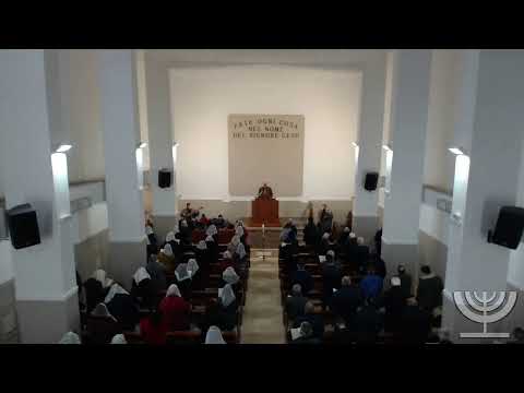 2020-12-20 Domenica Mattina - Fr Gemelli - Fr Mondello - 2 Cronache Cap 29 vers 1-19