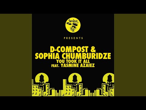 You Took It All feat. Yasmine Azaiez (Chini Remix)