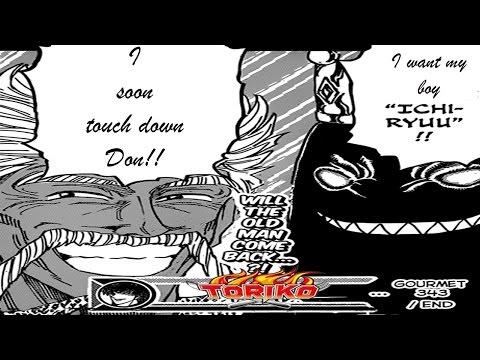 Toriko Manga 343 - "Direct Hit" Don Review