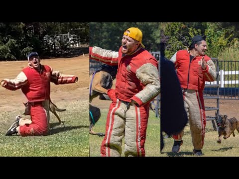 UFC Fighter Anthony "Fluffy" Hernandez gets attacked by a K9