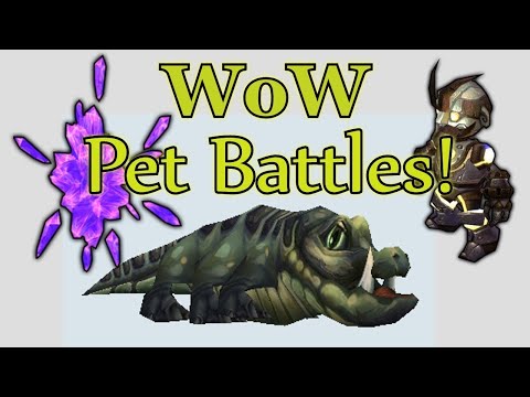 World of Warcraft Dundley Stickyfingers Pet Battle