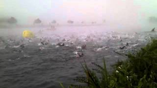 preview picture of video 'Challenge henley-on-thames swim start'