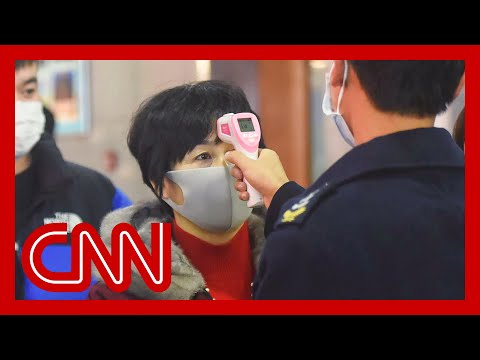 武漢のウイルスは、旧正月の旅行のロックダウンに数百万人を置く (Wuhan virus puts millions on travel lockdown during Lunar New Year)