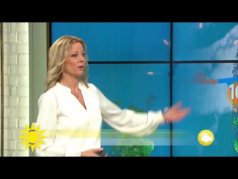 Meteorolog-Linda: Fantastiskt väder idag! - Nyhetsmorgon (TV4)