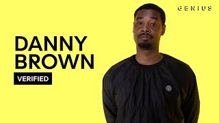 Danny Brown &quot;Dirty Laundry&quot; Official Lyrics &amp; Meaning | Verified