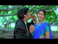 Seetaramaraju Movie Srivaru Doragaru Video Song Nagarjuna Sanghavi