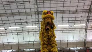 A team from China performs at the 10th International Lion Dance Competition