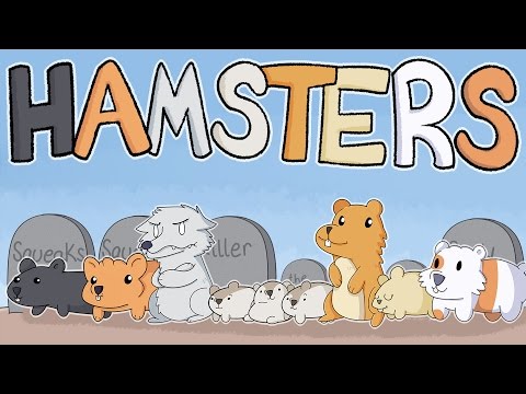 Our Hamsters