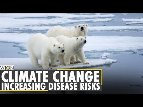 News Report - Climate change causing a surge in Wildlife Diseases