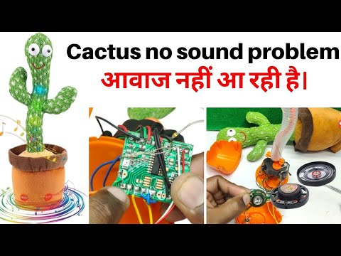 cactus no sound problem | cactus no sound | cactus music problem