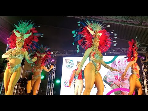 Sócios da Mangueira - Beija Flor 2005 @Festival Samba Estarreja 2024