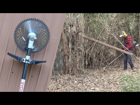 Removing Bamboo | First Time Using a Clearing Saw