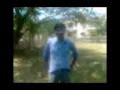 Vengai Puli