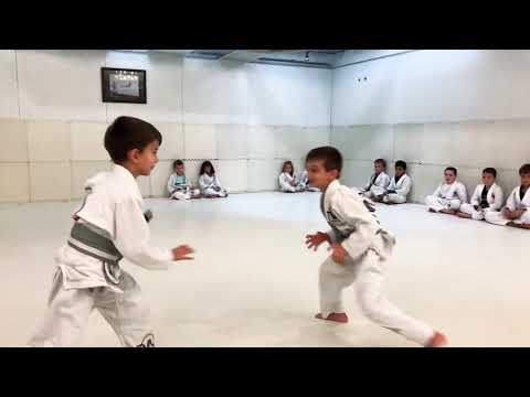 THIS IS WHAT JIU JITSU CAN DO FOR YOUR KID