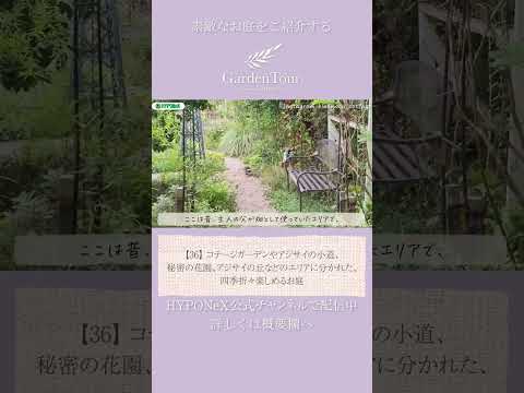 小さなコテージガーデンを作るにはどうすればよいですか？自然な外観を作成するにはどのような植物を育てるべきですか?  庭園