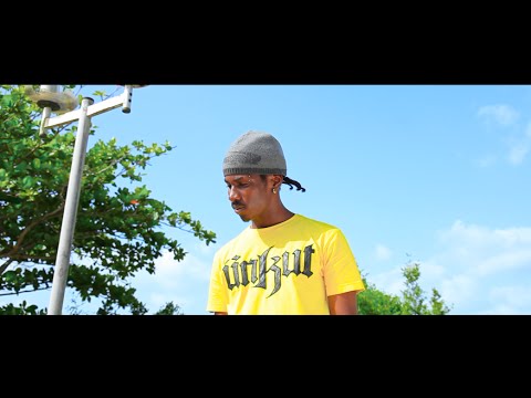 TII Wowo - Pa Jin Changer