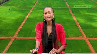 JT DU 04 NOVEMBRE 2025 : Retrouvez le journal de 18h45 avec Sara BOUGOUMA