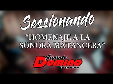 🔴HOMENAJE A LA SONORA MATANCERA - ORQUESTA DOMINÓ🔴
