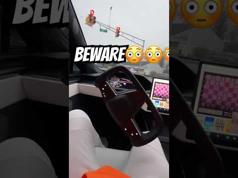 DO NOT DRIVE TESLA FSD TIL YOU SEE THIS 😳