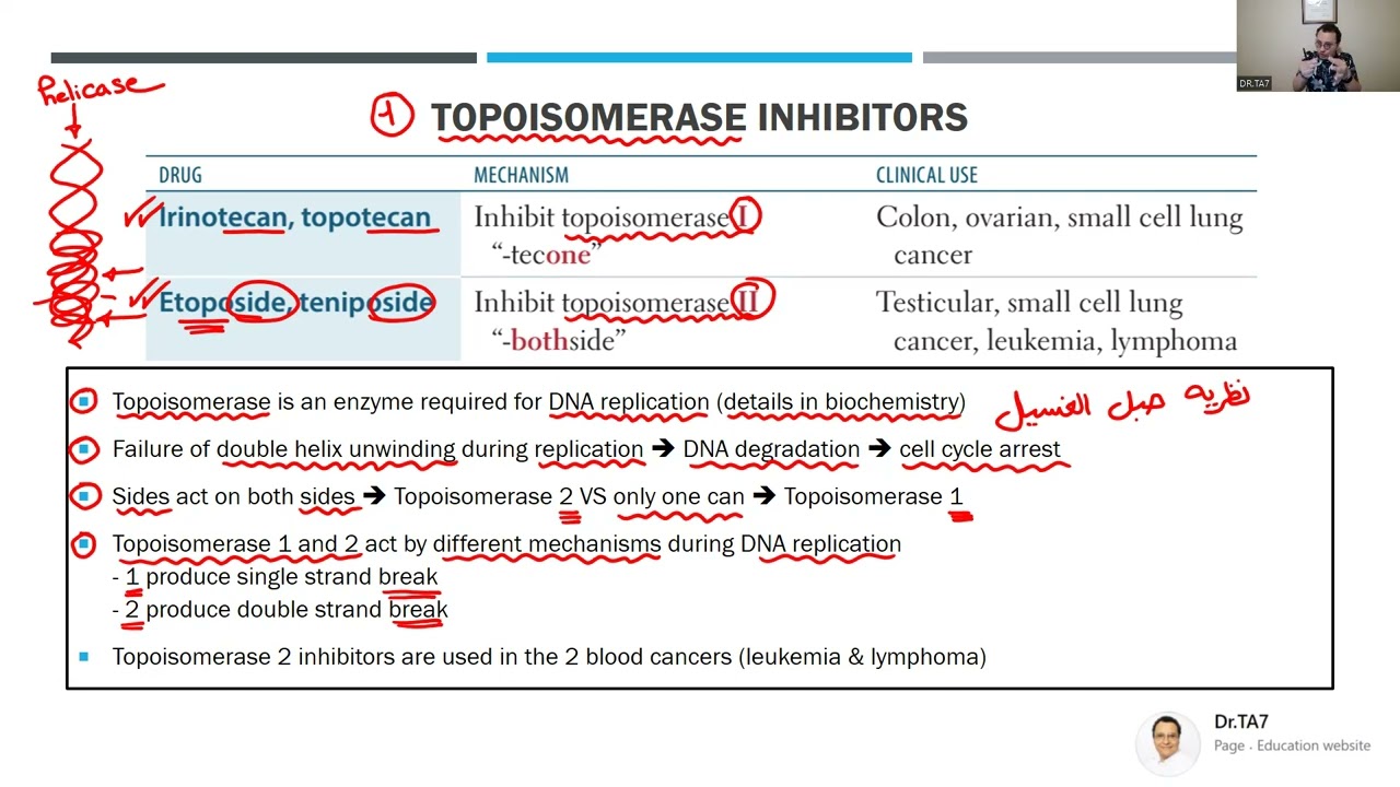 DR TA7: ANTICANCER DRUGS 2