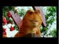 Garfield The Pirate