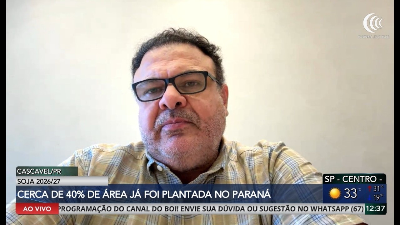 Plantio da soja avança no Paraná e atinge 40% da área prevista