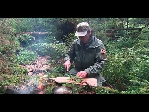 Cooking in the wild. Nature sounds and delicious food