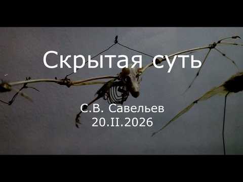 С.В. Савельев - Скрытая суть