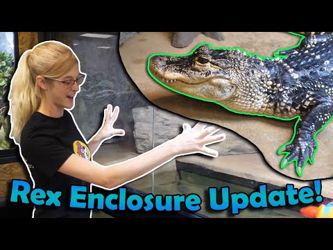 Swapping out Rex's Enclosure Glass!