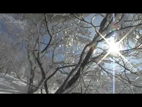Mr.Begin's  niseko の北斜面に挑む!2009