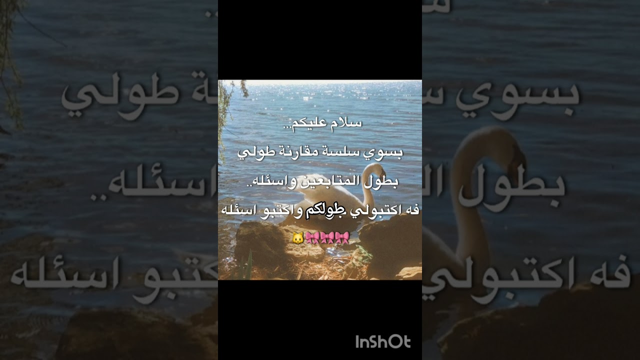 اشتاقيتلكم💞🐱 #like #اكسبلور #لايك #يافاطمه #تصميمي #mm2#funny #fypシ