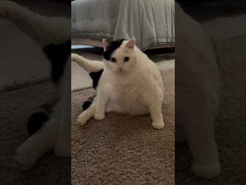 Jasmine is Doing Something Weird