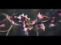 Cults - No Hope 3/17/18