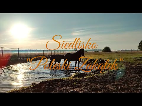 Agroturystyka Siedlisko Poleski Zakątek
