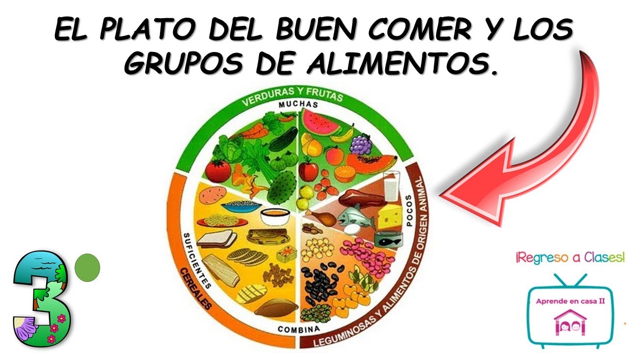EL PLATO DEL BUEN COMER Y LOS GRUPOS DE ALIMENTOS.