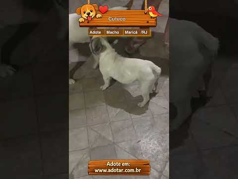 Vídeo de Cutuco