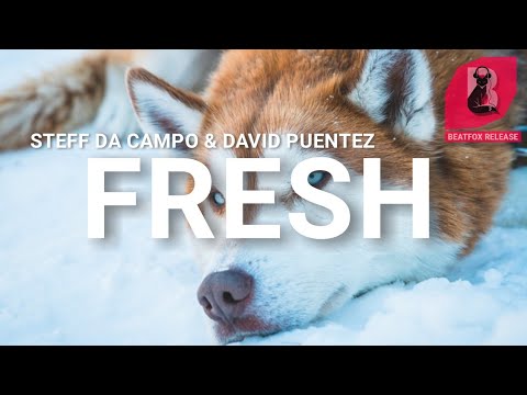 Steff Da Campo & David Puentez - Fresh. [Official Audio]