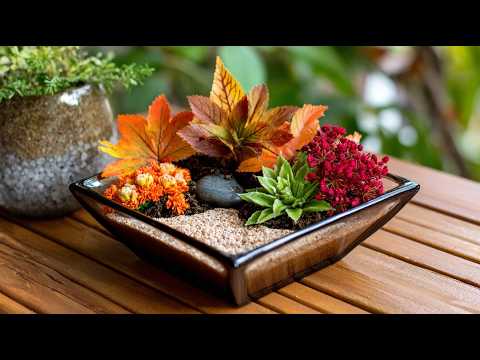 Inspiring Japanese-Style Tabletop Indoor Garden Design Ideas