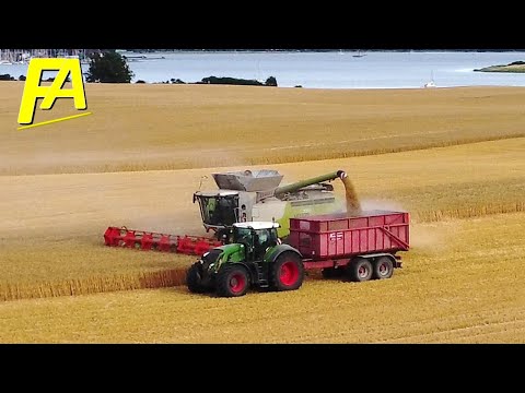 Claas #Lexion 770 XXL #Mähdrescher direkt an der Ostsee Drohnen Video Gerste #Dreschaction 2022