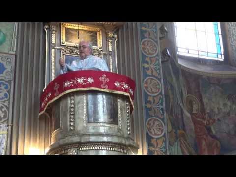 19.10.2014 Invierea fiului vaduvei din Nain - Pr Prof Dr D Meghesan