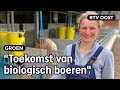 Nieske heeft een unieke stal: ieder varken een eigen bungalow | RTV Oost