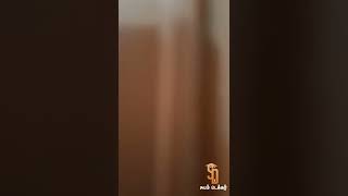 pleeted type mosquito net vs openable mosquito net door type |which one is best