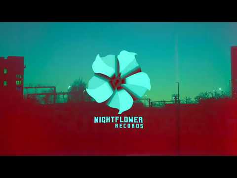 Jacuś - PIĄTEK WIECZÓR ft. Young Leosia (DJ Salis Bootleg)